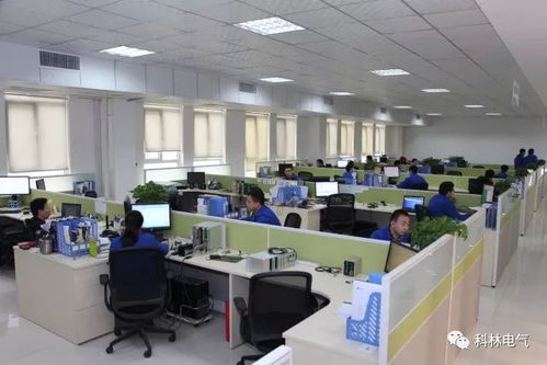 建優(yōu)質項目 鑄精品工程——走進科林電力工程總承包的卓越工程管理服務